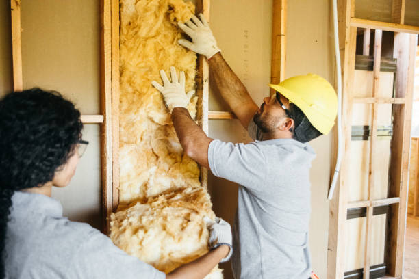 Trusted Catahoula, LA Insulation Experts